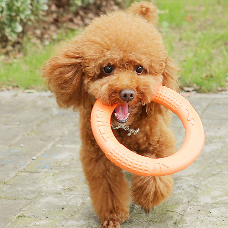 1pc Orange Dog Toys Pet Flying - Indestructible Dog Chew Toy review and price