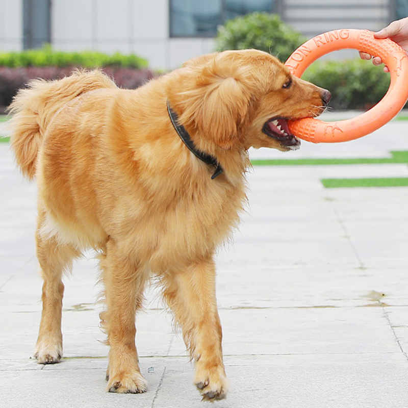 1pc Orange Dog Toys Pet Flying - Indestructible Dog Chew Toy review and price