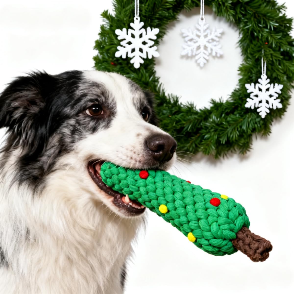 Christmas Cotton Rope Dog Chew - Teeth Cleaning Dog Chew Bone review and price