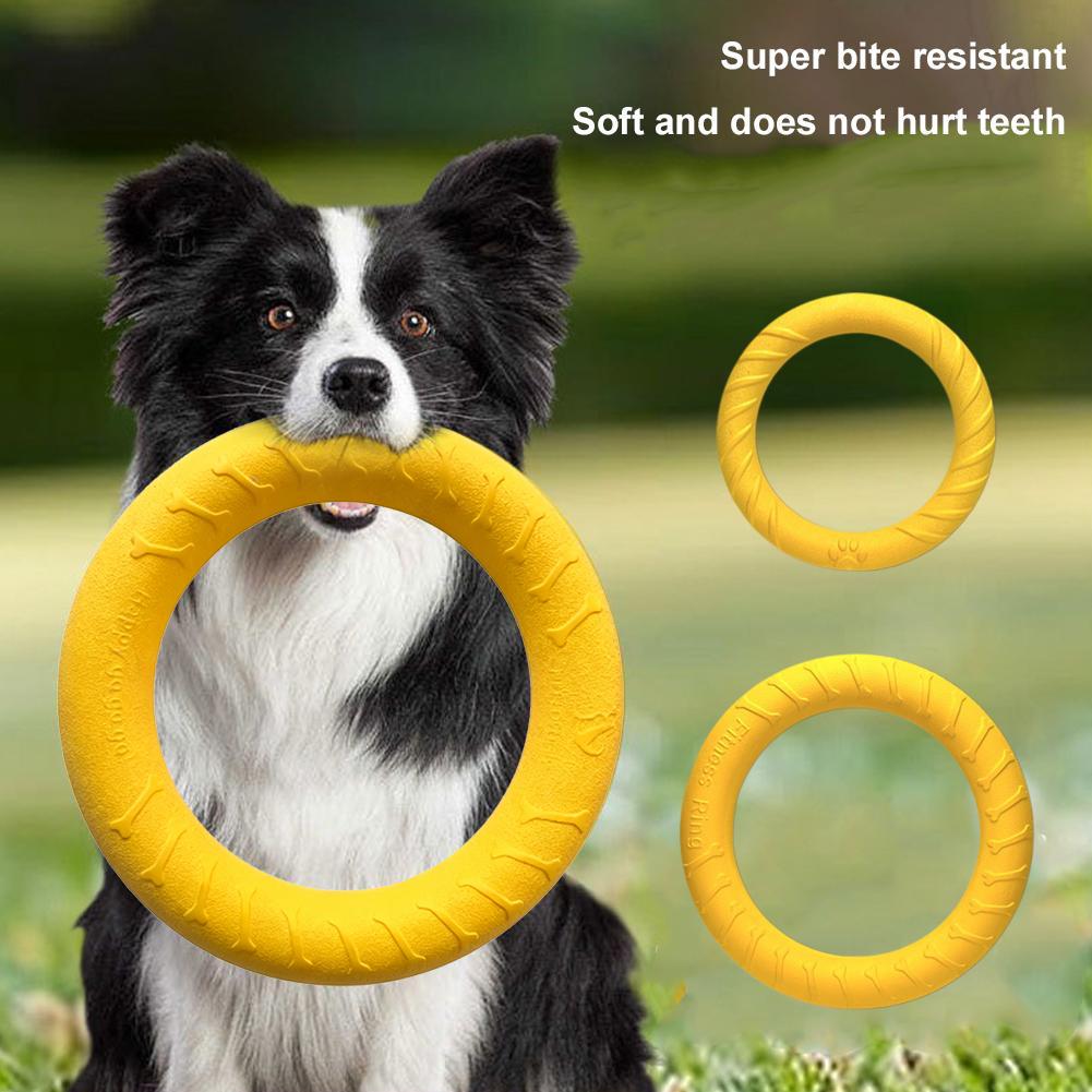 Dog Ring Toys Indestructible C - Indestructible Dog Chew Toy review and price